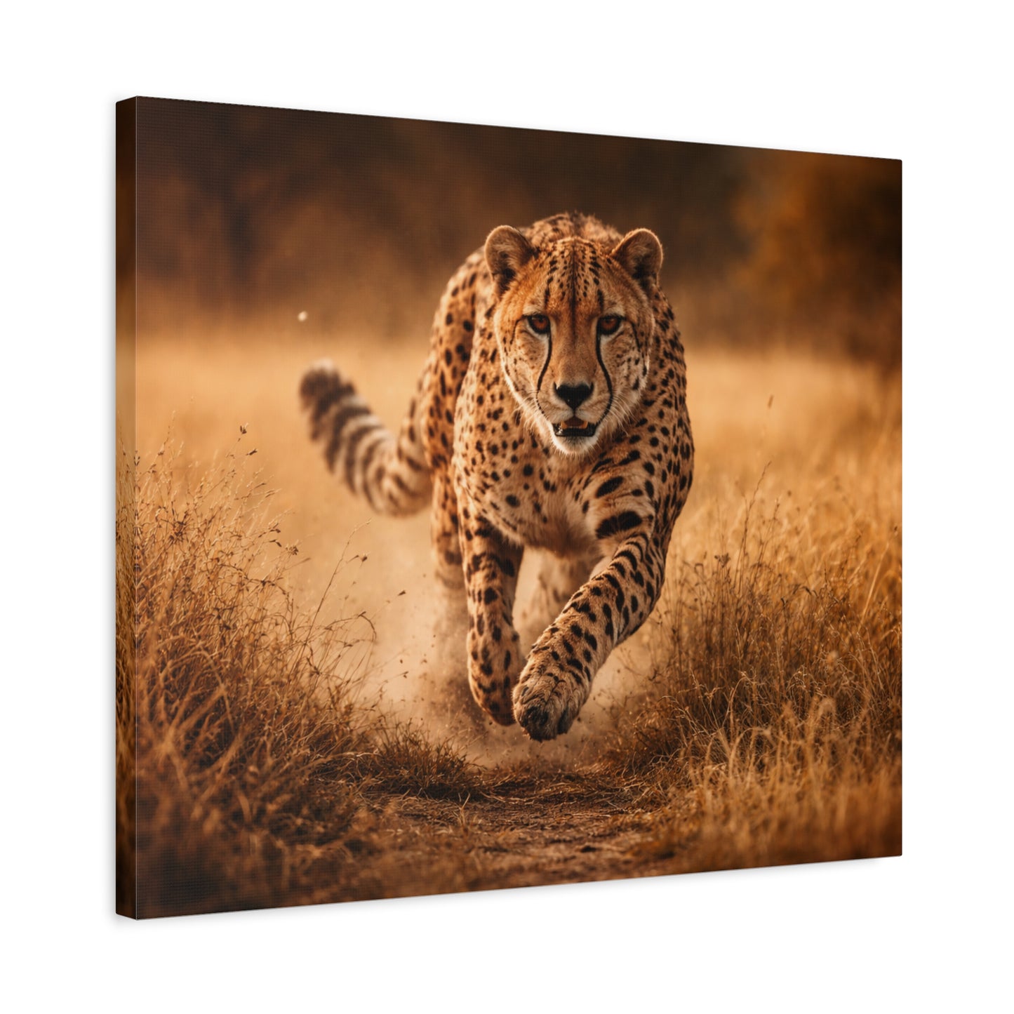 FERA ANIMA — Cheetah in Motion Canvas