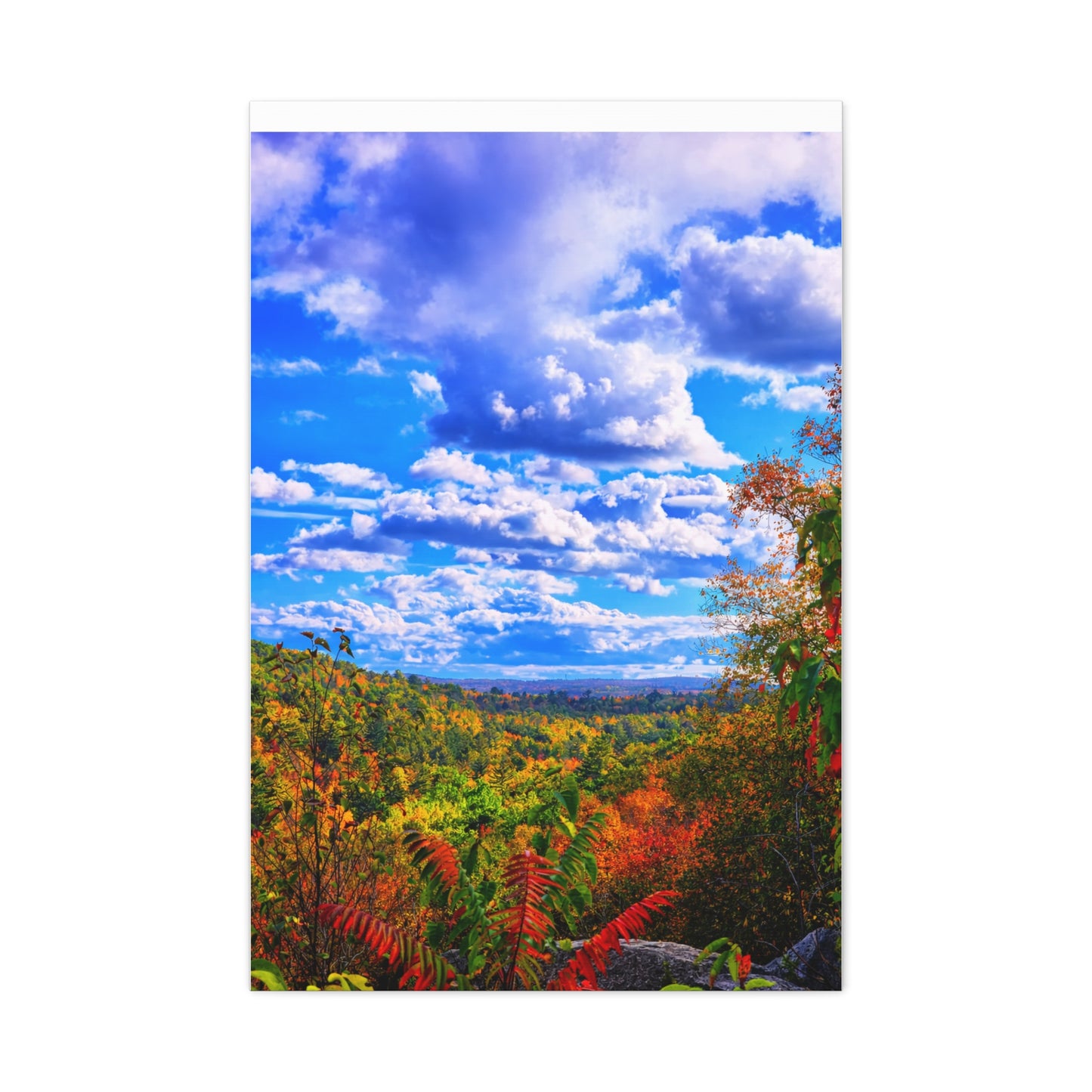 Where Creation Rests - Autumn Vista Matte Canvas Print