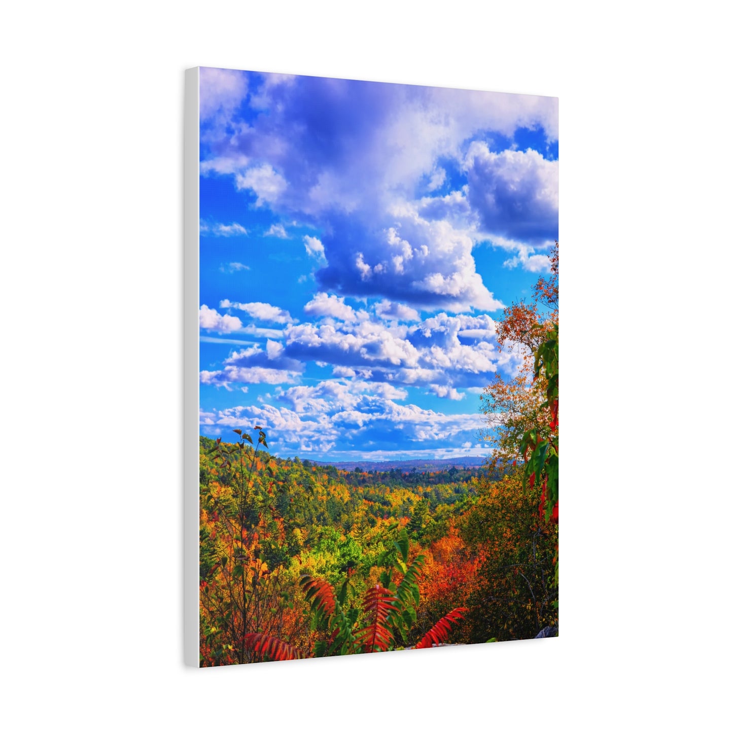 Where Creation Rests - Autumn Vista Matte Canvas Print