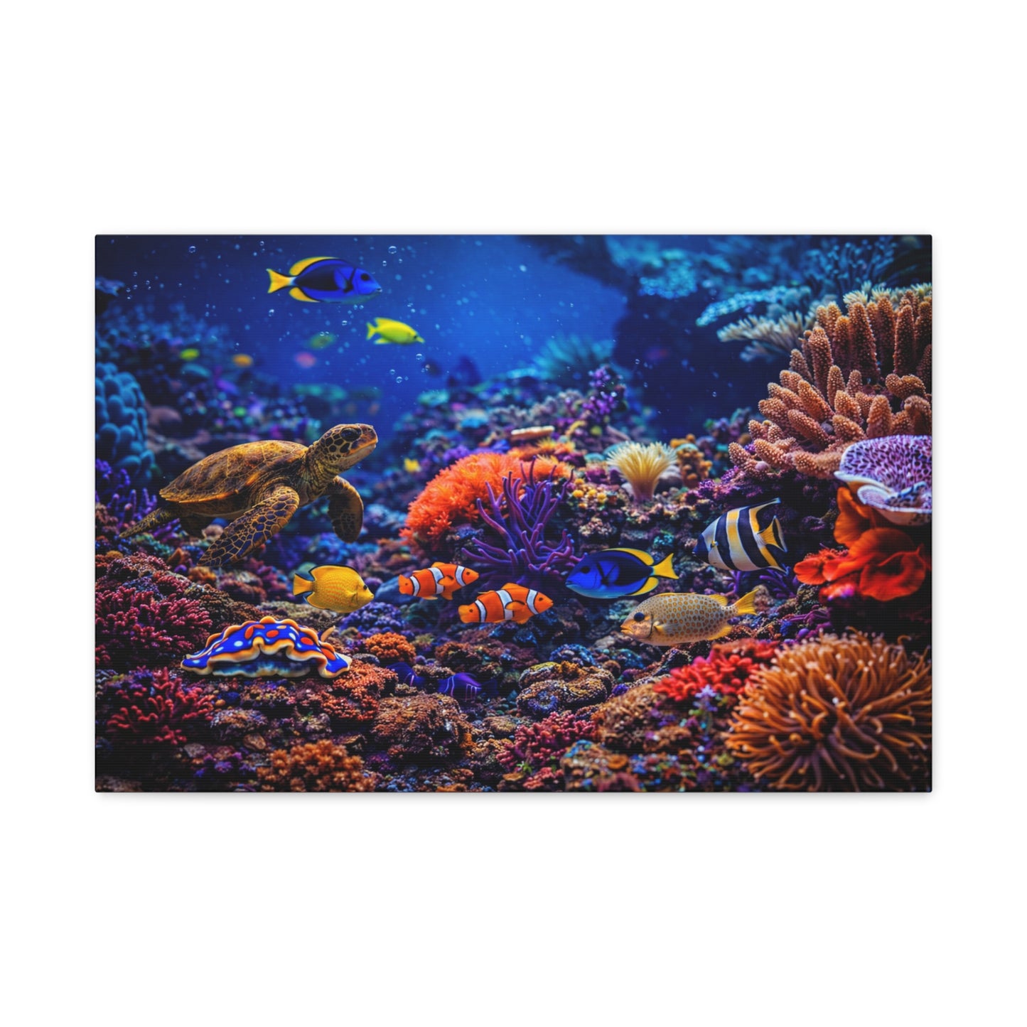 Where Creation Rests — Colorful Coral & Sea Life Wall Art